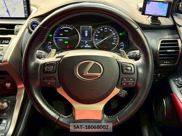 Lexus NX 2019-05 7251330-12
