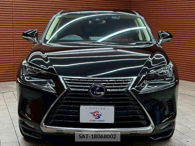 Lexus NX 2019-05 7251330-16