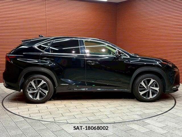 Lexus NX 2019-05 7251330-17