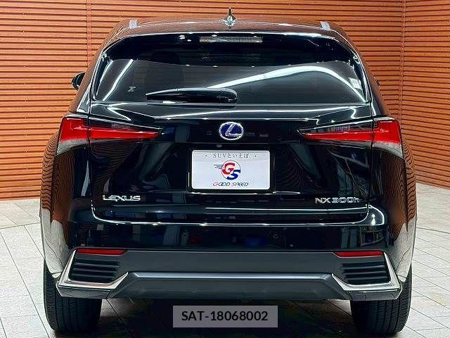 Lexus NX 2019-05 7251330-18