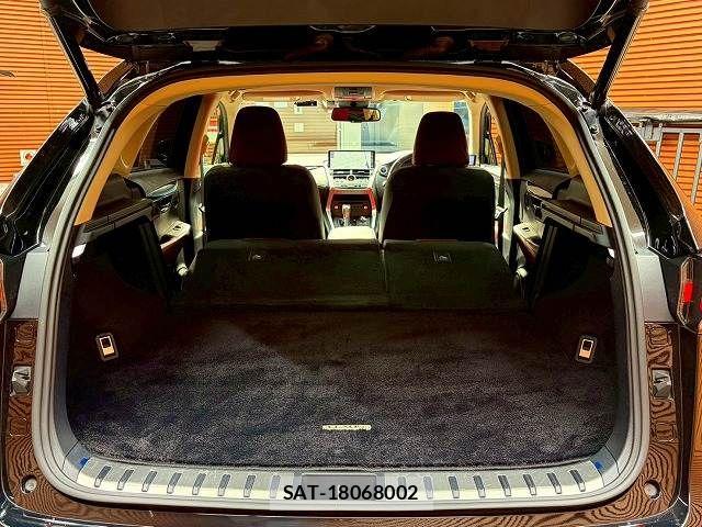 Lexus NX 2019-05 7251330-19