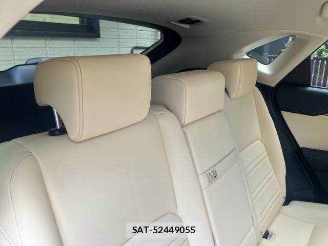 Lexus NX 2016-09 7251335-12