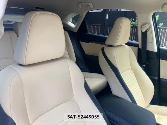 Lexus NX 2016-09 7251335-18