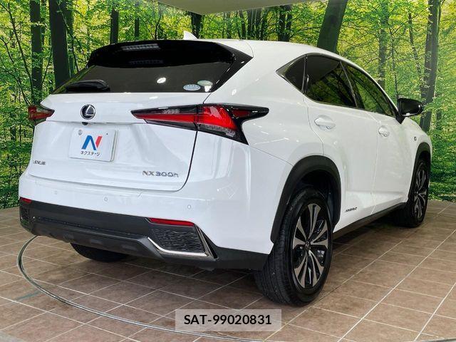 Lexus NX 2018-10 7328053-16