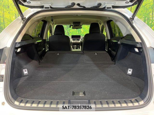Lexus NX 2019-03 7328054-10