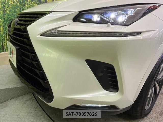 Lexus NX 2019-03 7328054-11