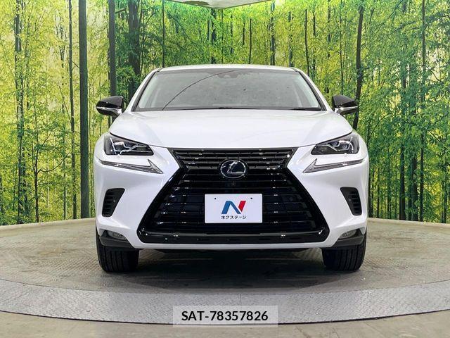 Lexus NX 2019-03 7328054-13
