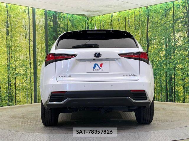 Lexus NX 2019-03 7328054-14