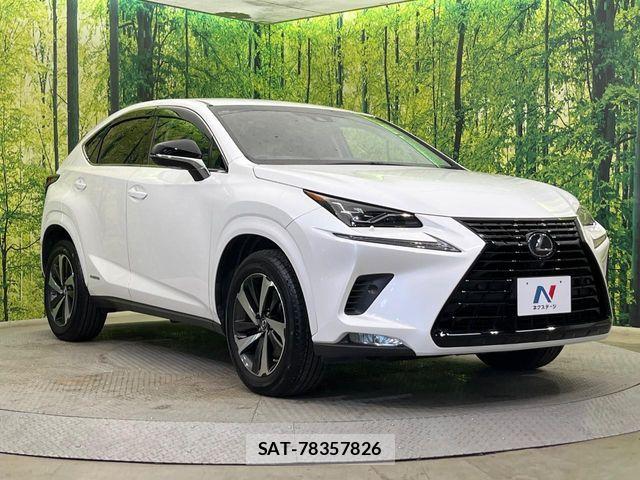 Lexus NX 2019-03 7328054-15