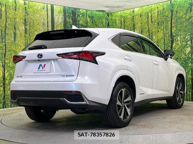 Lexus NX 2019-03 7328054-16