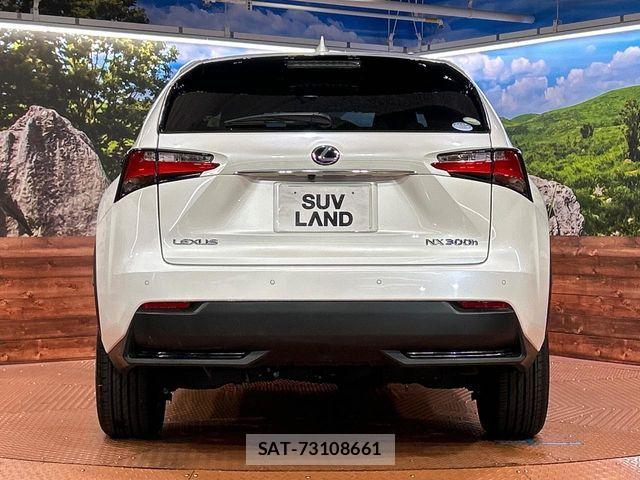 Lexus NX 2015-08 7358518-13
