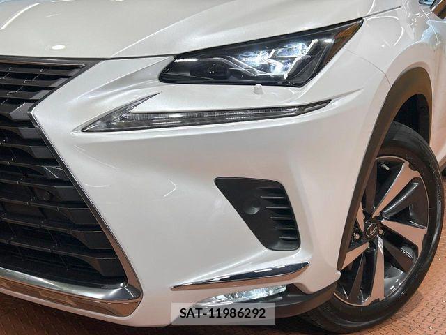 Lexus NX 2019-10 7358513-11