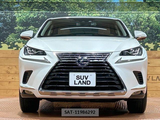 Lexus NX 2019-10 7358513-13