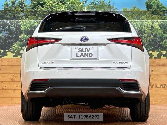 Lexus NX 2019-10 7358513-14