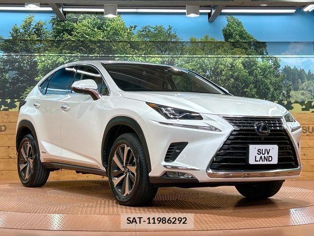Lexus NX 2019-10 7358513-15