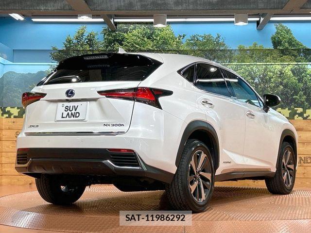 Lexus NX 2019-10 7358513-16