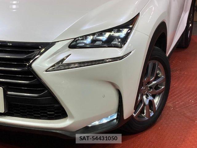 Lexus NX 2018-06 7358521-11