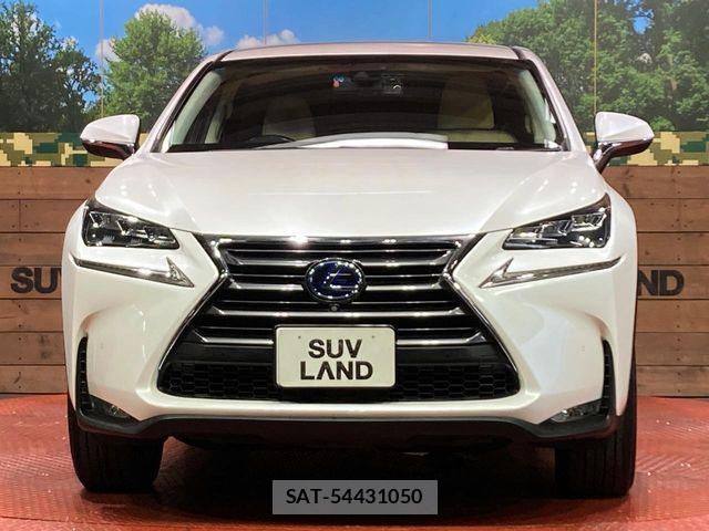 Lexus NX 2018-06 7358521-13
