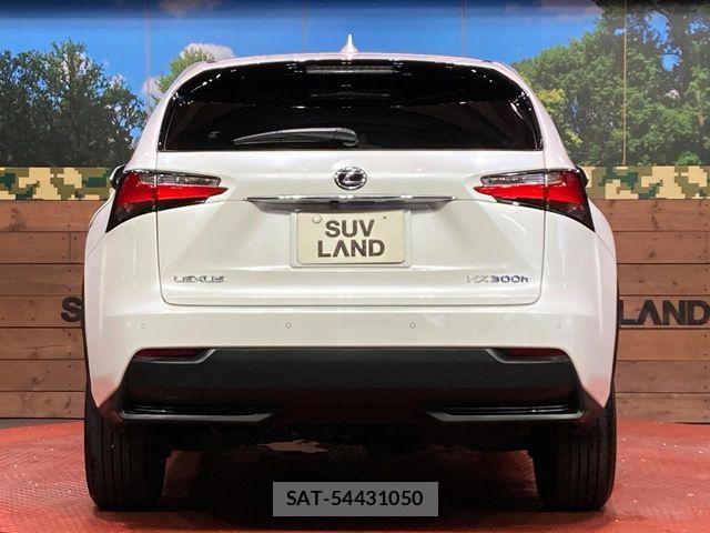 Lexus NX 2018-06 7358521-14