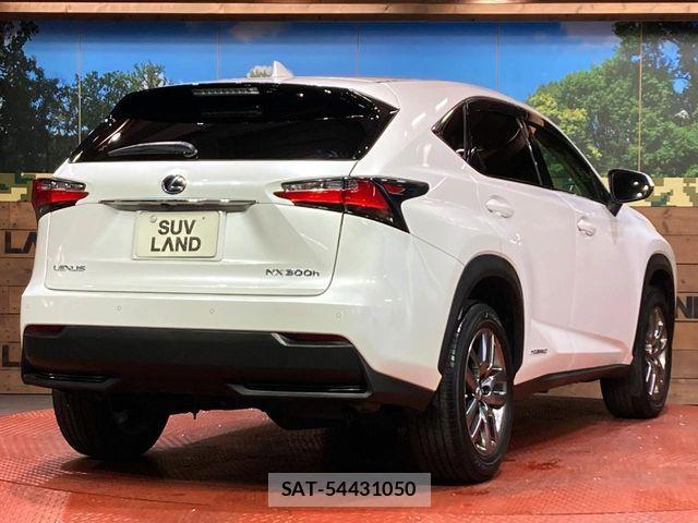 Lexus NX 2018-06 7358521-16