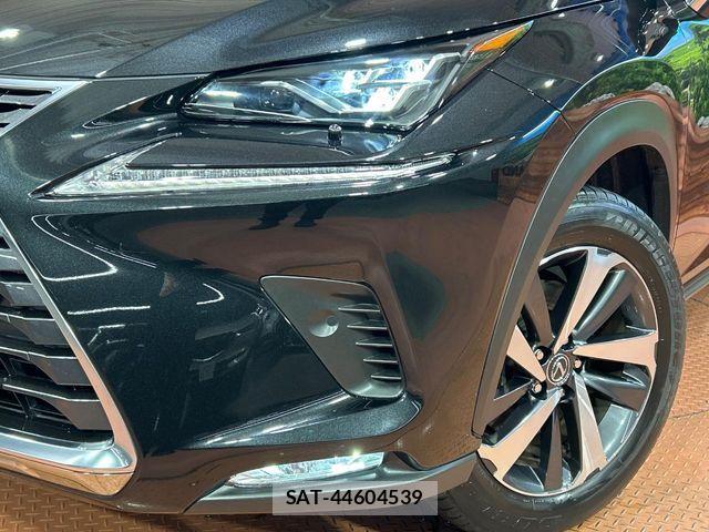 Lexus NX 2019-07 7358519-11