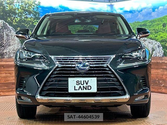 Lexus NX 2019-07 7358519-13