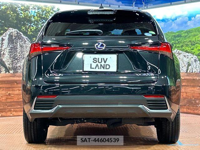 Lexus NX 2019-07 7358519-14