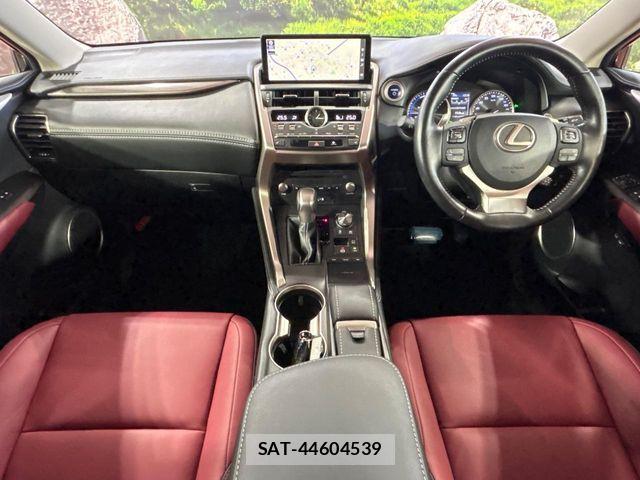 Lexus NX 2019-07 7358519-1
