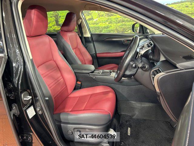 Lexus NX 2019-07 7358519-7