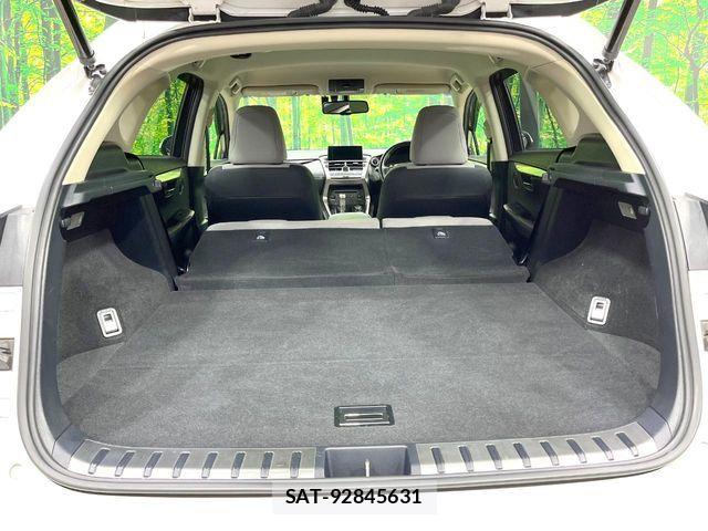 Lexus NX 2015-03 7392688-10