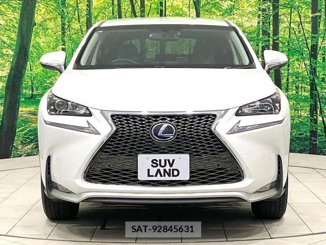 Lexus NX 2015-03 7392688-14