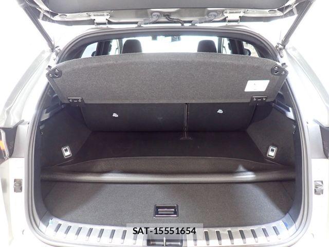 Lexus NX 2020-05 7392681-26