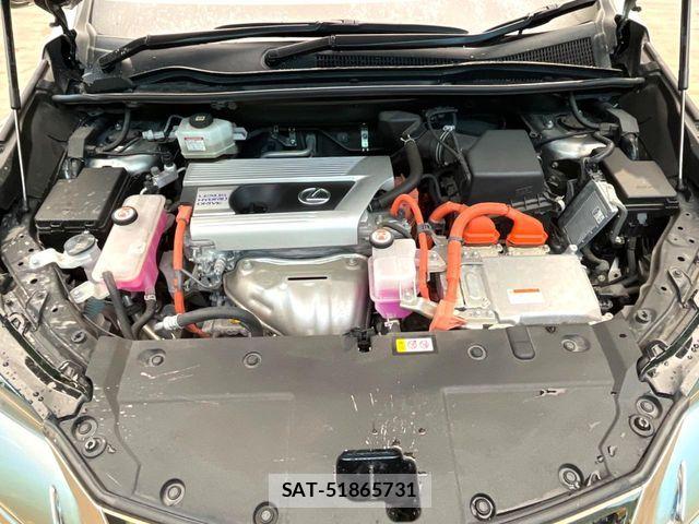 Lexus NX 2021-09 7392683-17