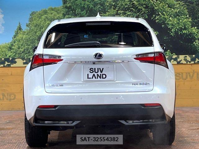 Lexus NX 2015-07 7392684-14