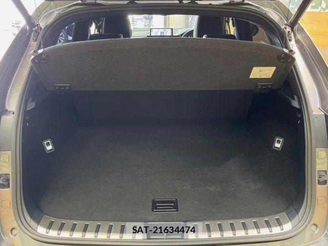 Lexus NX 2020-01 7455426-10