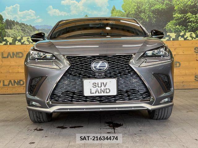 Lexus NX 2020-01 7455426-13
