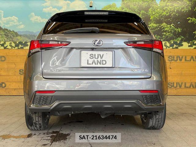 Lexus NX 2020-01 7455426-14