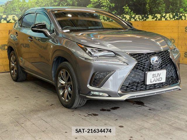 Lexus NX 2020-01 7455426-15