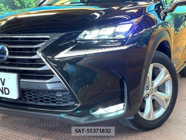 Lexus NX 2014-09 7455428-11