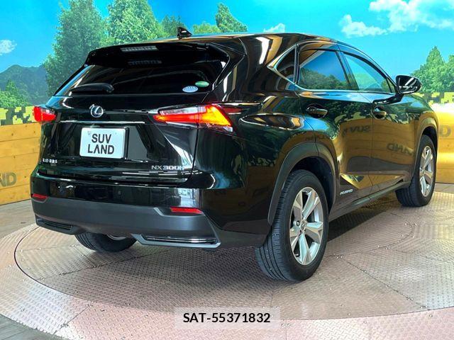 Lexus NX 2014-09 7455428-16