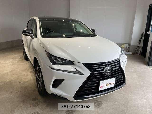 Lexus NX 2019-06 7455427-10