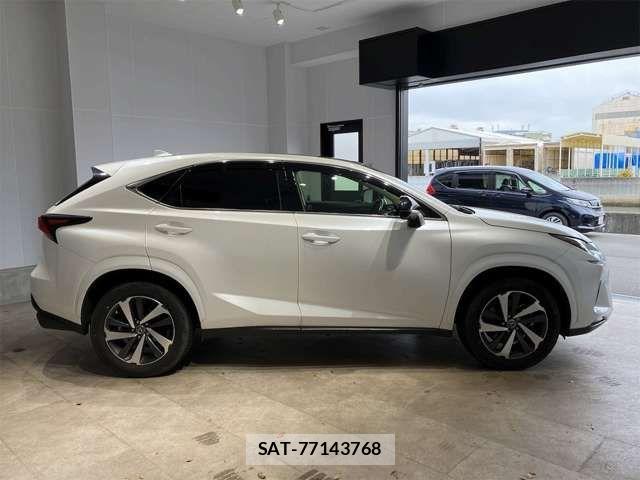 Lexus NX 2019-06 7455427-11