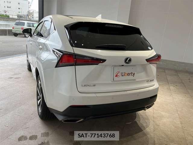 Lexus NX 2019-06 7455427-12
