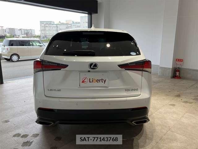 Lexus NX 2019-06 7455427-13