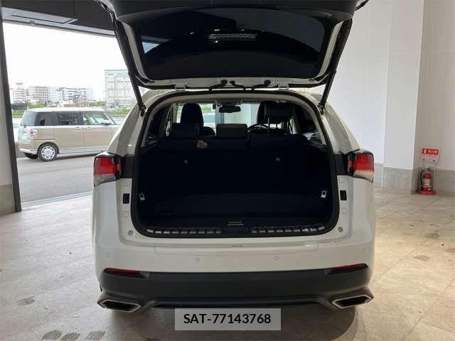 Lexus NX 2019-06 7455427-15