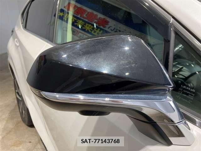 Lexus NX 2019-06 7455427-16