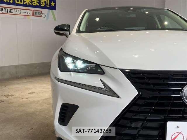 Lexus NX 2019-06 7455427-17