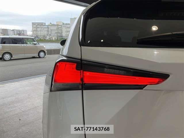 Lexus NX 2019-06 7455427-18