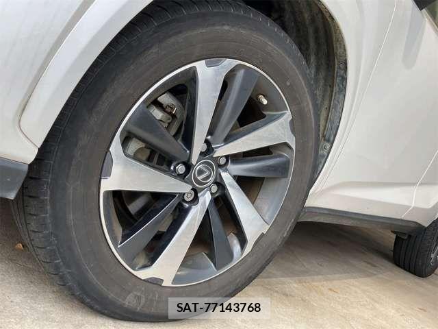 Lexus NX 2019-06 7455427-19