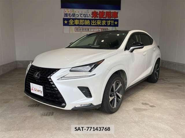 Lexus NX 2019-06 7455427-8